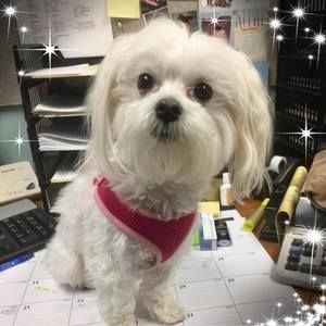 Meet your Posher, Kathy